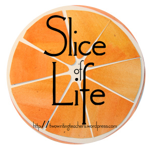Slice of LIfe 